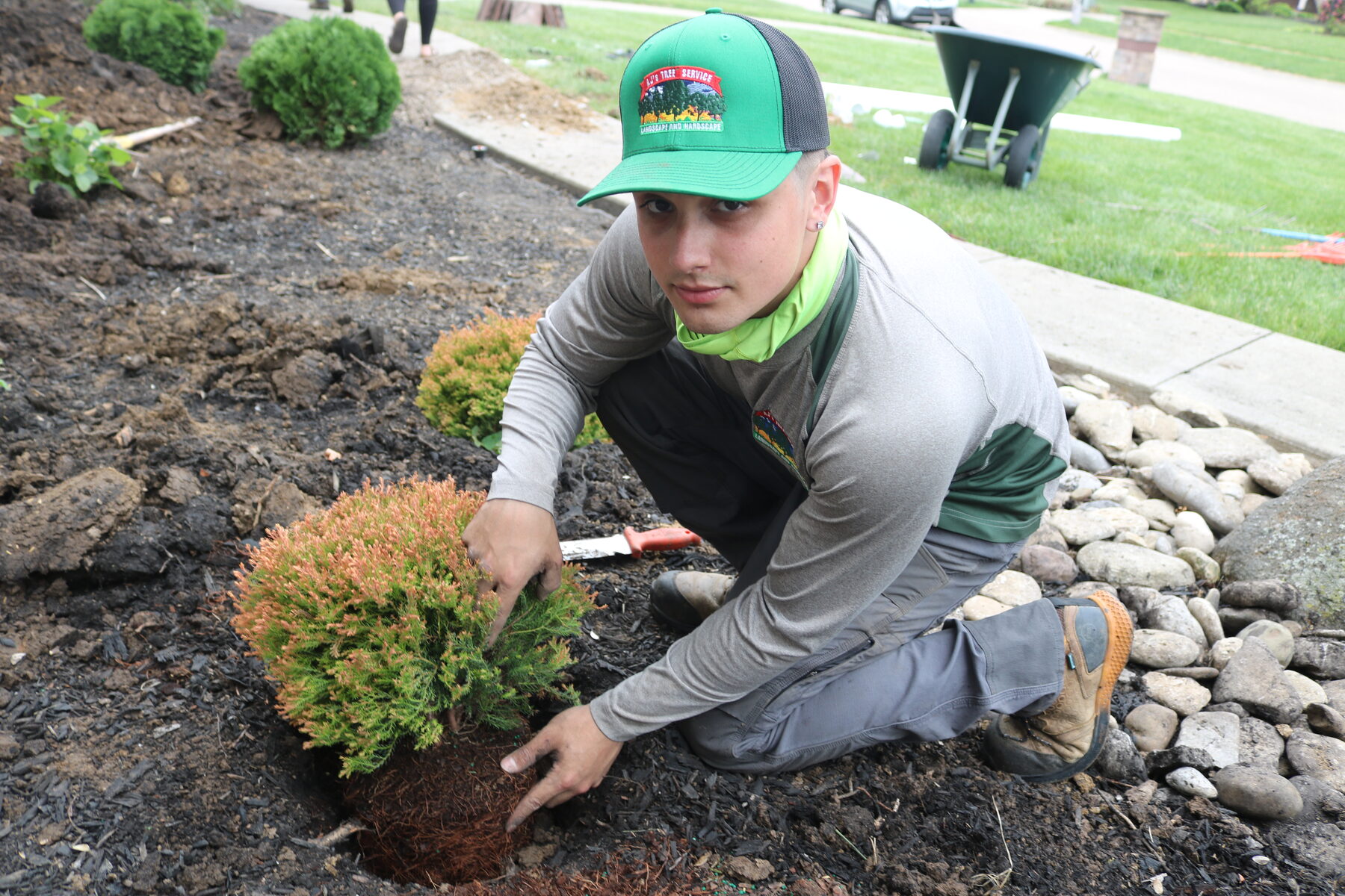 AJ's Tree Service crew at work