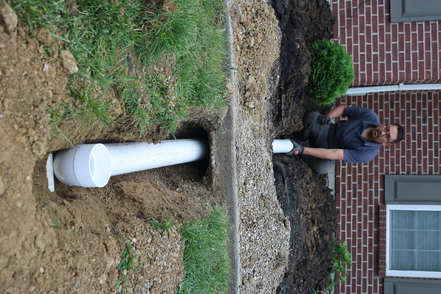 AJ's Tree Service project