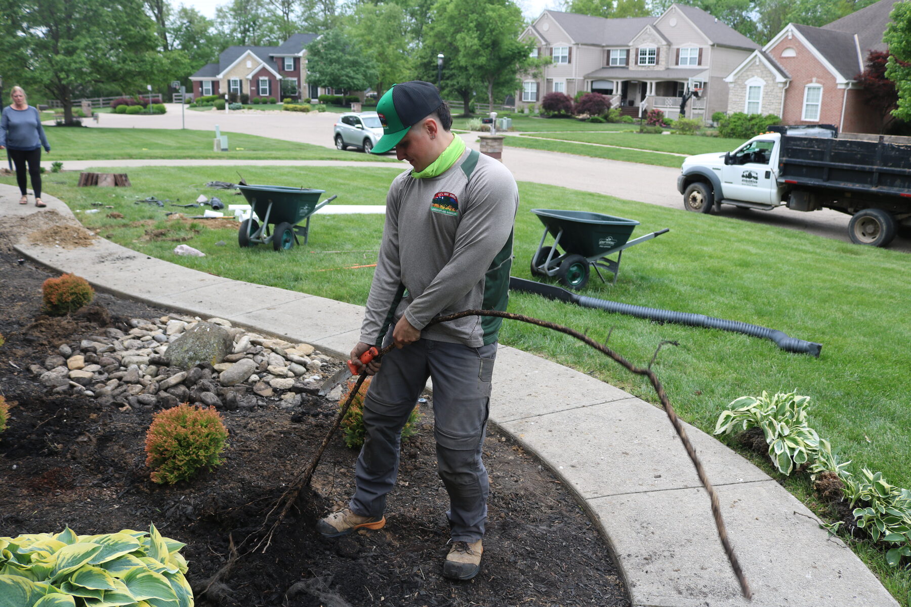 AJ's Tree Service project