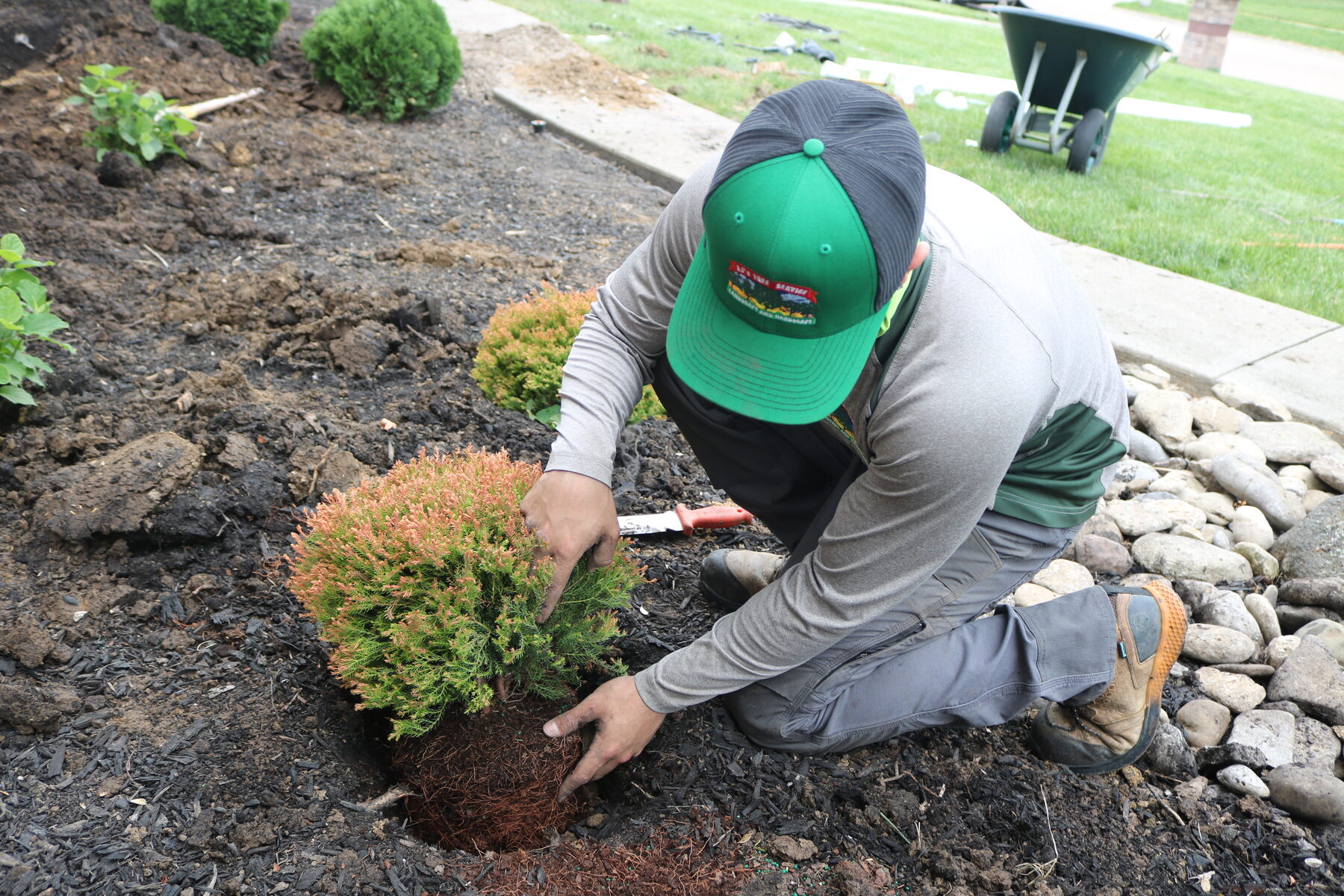 AJ's Tree Service project