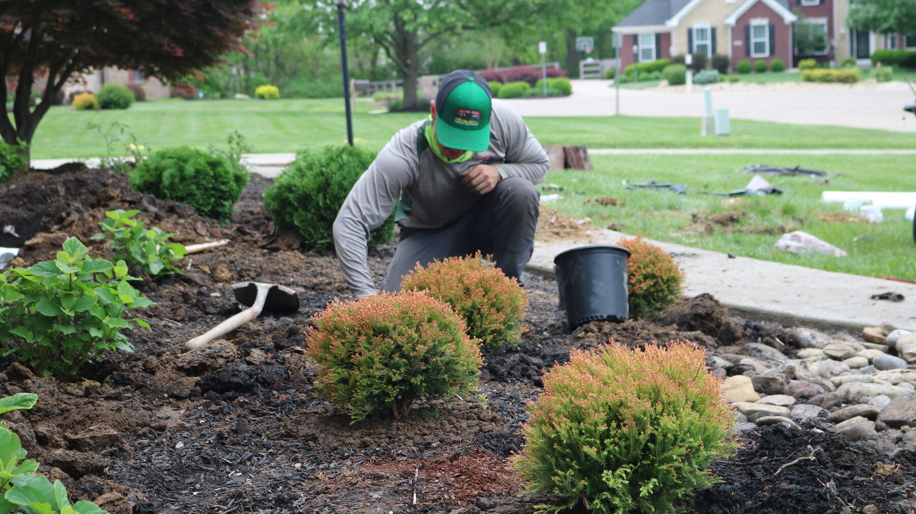 AJ's Tree Service project