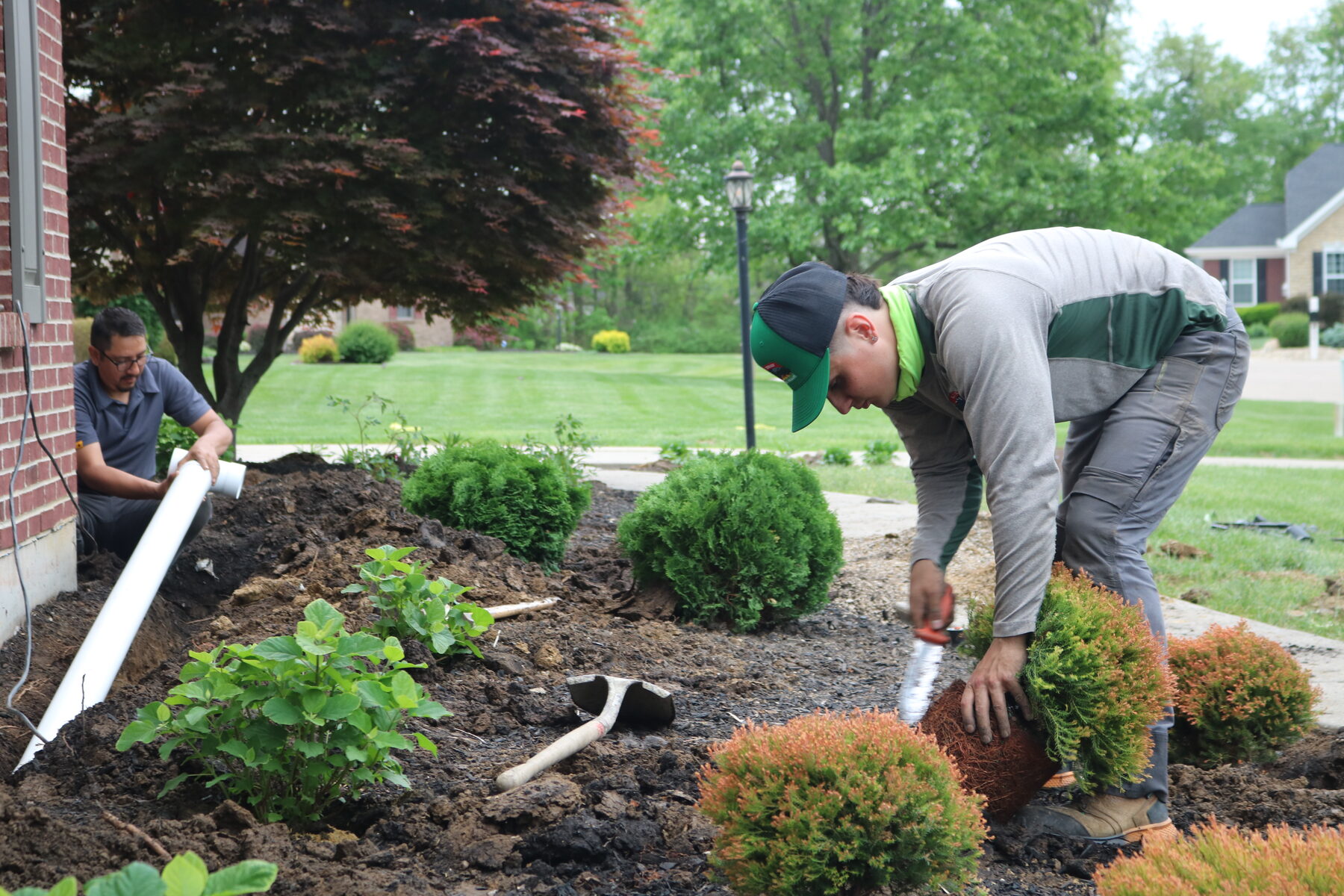 AJ's Tree Service project