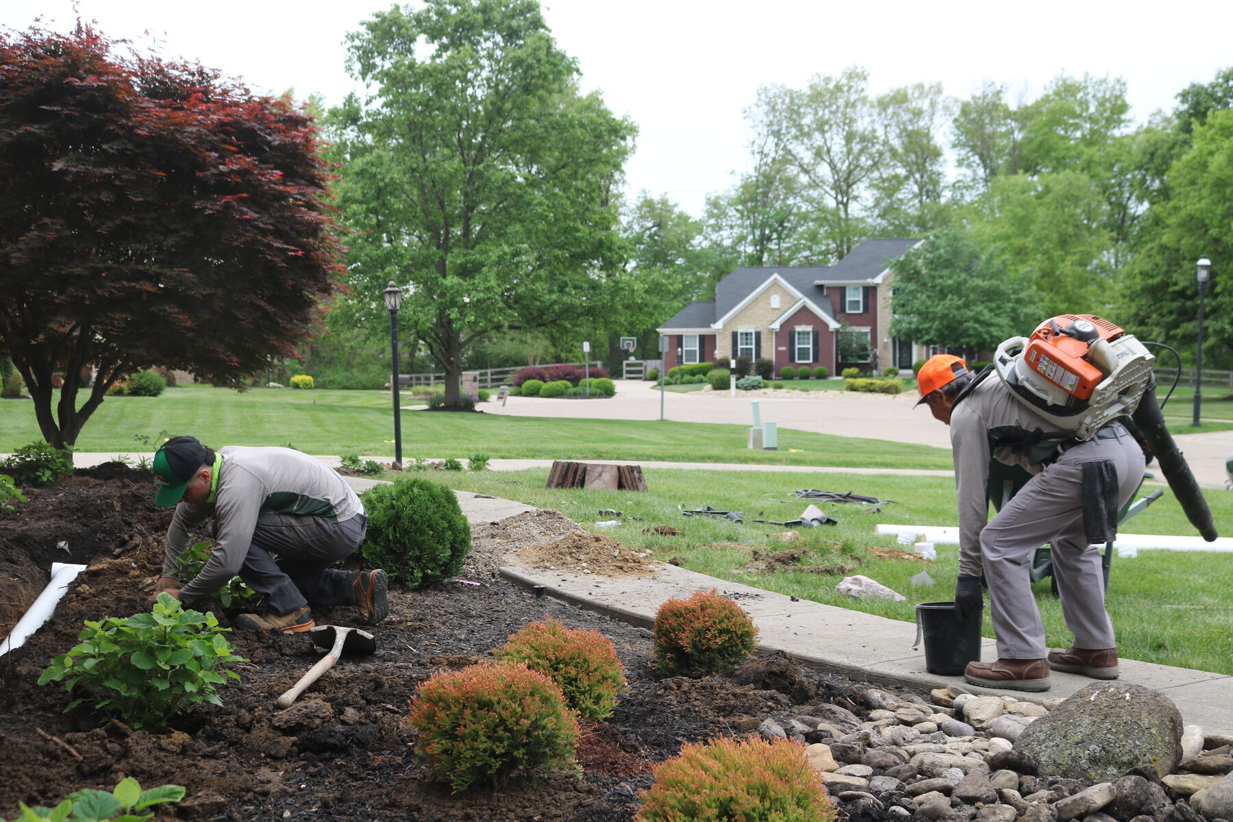 AJ's Tree Service project