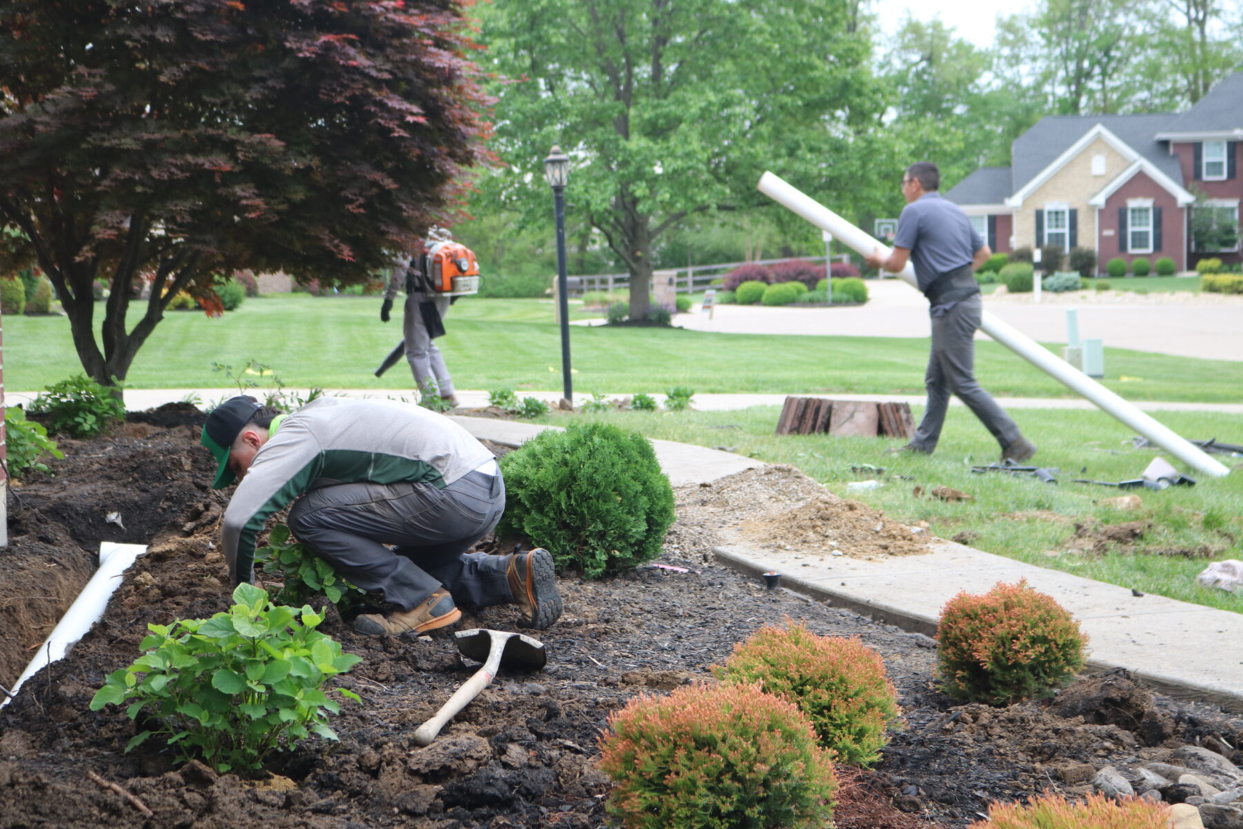 AJ's Tree Service project