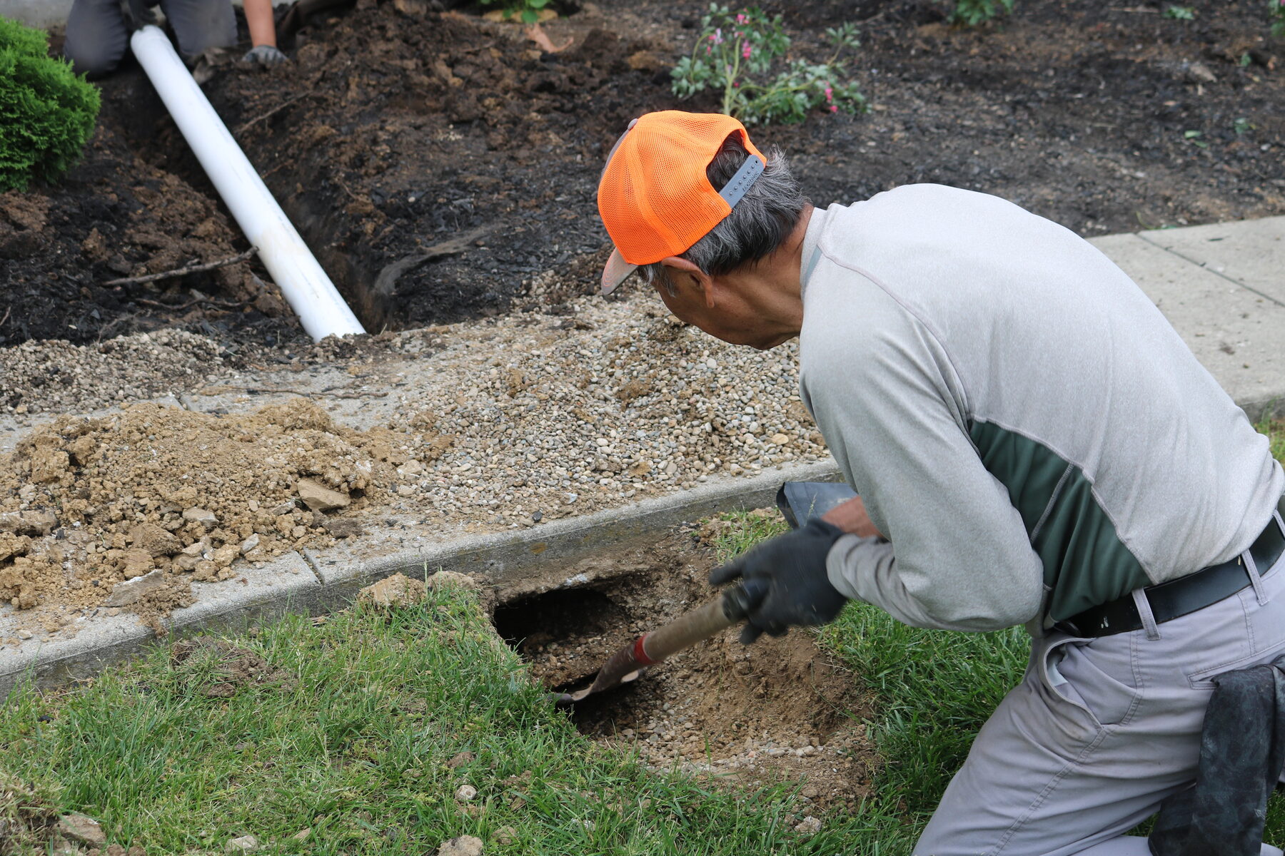 AJ's Tree Service project