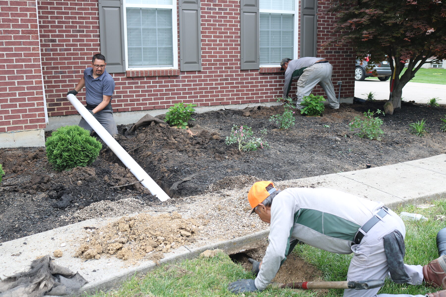 AJ's Tree Service project