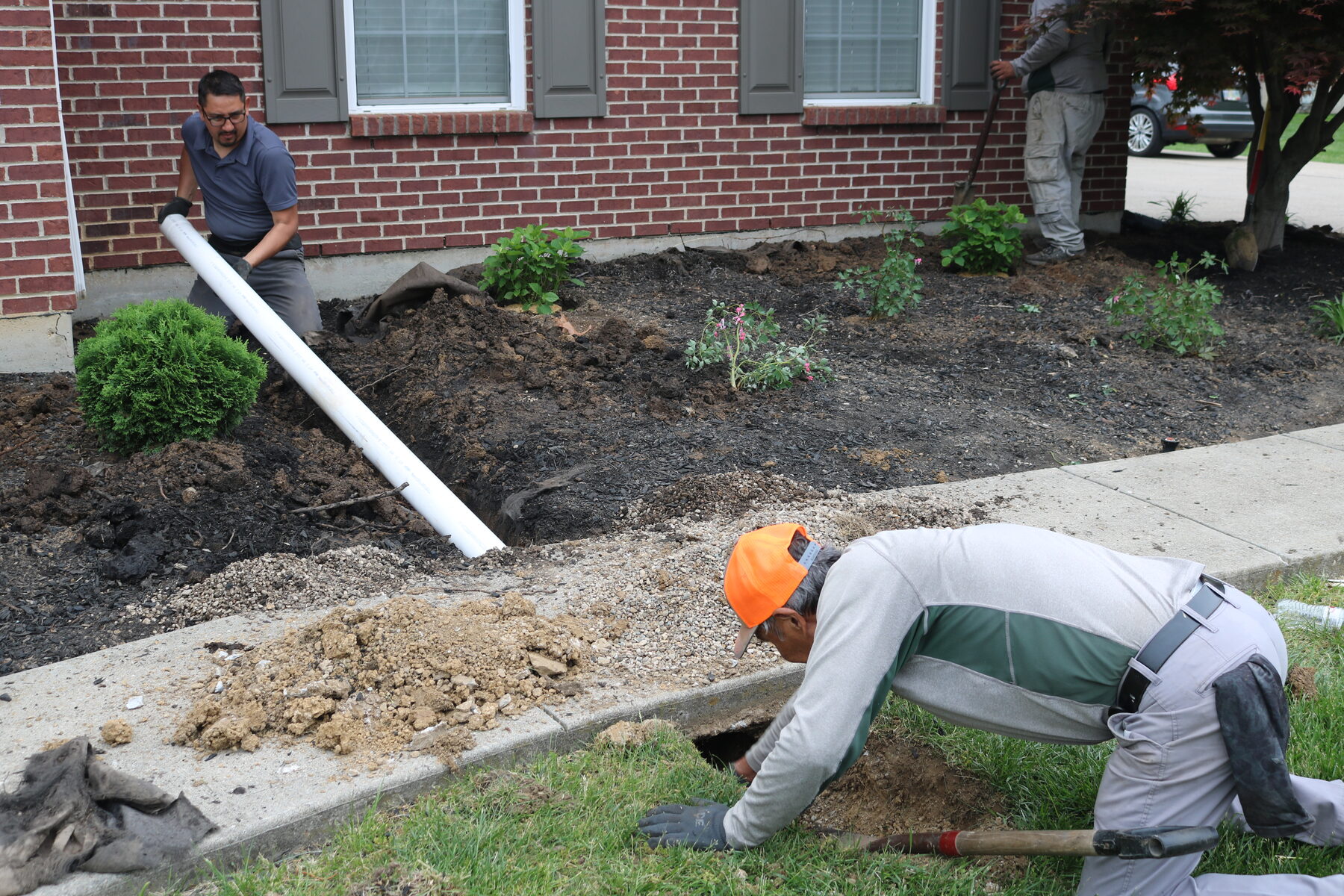 AJ's Tree Service project